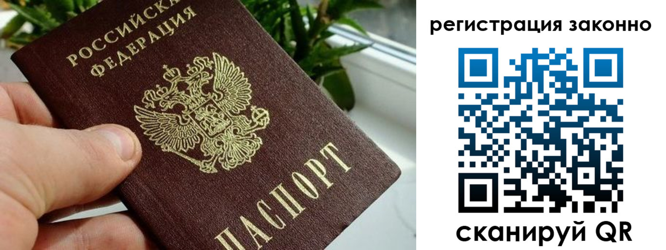 прописка гарантия в Чебаркуле